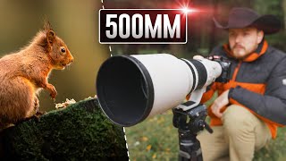 Canon EF 500mm F40L IS II USM Lens  In Depth Review [upl. by Corsiglia]