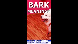 What Is My DOG Saying Heres What a Dogs Different Barks mean [upl. by Afesoj]