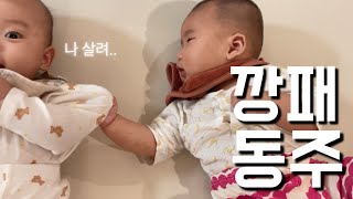 VLOG 깡패동주 등장 간만에 쇼핑 urbanic30 아빠라고 말하다 [upl. by Ignaz]