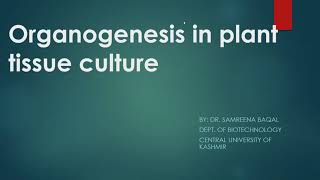 Organogenesis in plants [upl. by Esilegna]