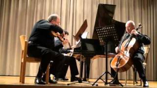 Mendelssohn Trio in D minor 3rd Movement [upl. by Binah]