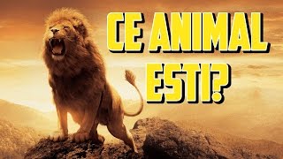 ✔Ce animal estiTest de personalitate [upl. by Lanoil815]