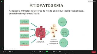 ENTEROCOLITIS NECROTIZANTE [upl. by Bushore697]