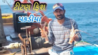 ટીટણ ફિશ પકડીયા titan fish  dariyaNikahanigujrativolggujrati volg okhaport fishing [upl. by Nosbig]