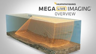 What is MEGA Live Imaging™ amp How to Read It  Humminbird [upl. by Hasin987]