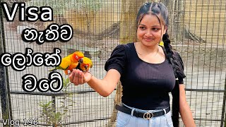 විනාඩි 10 න් ලෝකේ වටේ රවුමක් ♥️  Water World Kelaniya  Bird Park  Underwater tunnel [upl. by Sgninnej346]