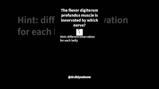 The flexor digitorum profundus muscle is innervated by which nerve Anatomy [upl. by Runkel]