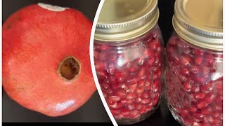 Amazing Ways to Prep and Preserve Pomegranate 😯😯 [upl. by Starling]