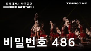 서강대학교 응원단 트라이파시 단독공연 그대에게8  ENDLESS  04 비밀번호 486 [upl. by Vernon]