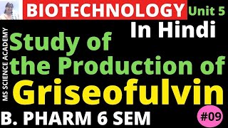 Production of GriseofulvinIn HindiPharmaceutical Biotechnology Unit 5 B Pharmacy 6 SemL9 [upl. by Elrebmik466]