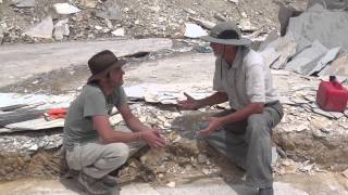 Chasing History Fossil Fish The Green River Fossil Formation Documentry [upl. by Shornick]