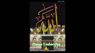 Ali Mola Islamic Status Video  alimola islamic muslim qawwali zaheeralamking [upl. by Eiramyelhsa941]