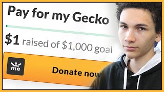 Stop donating to these dumb reptile fundraisers  GoFundMe Garbage [upl. by Ynffit]