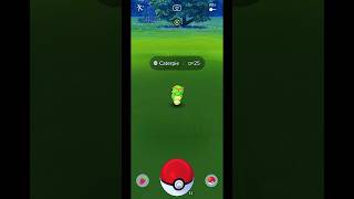 I Caught Caterpie in Pokemon Go Shorts PokemonGo Caterpie [upl. by Zirtaeb540]