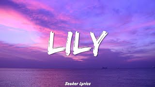 Lily Lyrics  Alan Walker K391 amp Emelie Hollow [upl. by Civ]