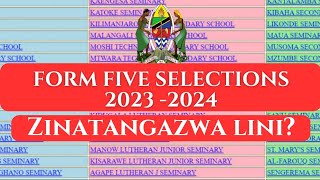 FORM FIVE SELECTION 202324waliochanguliwa kujiunga kidato Cha Tano 20232024 TAMISEMI [upl. by Aiyt]