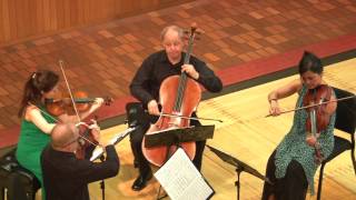 Beethoven Quartet in Eflat Major Op 74 quotHarpquot performed by the Arianna String Quartet [upl. by Sim]