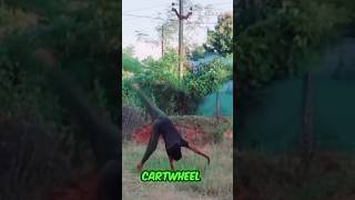 Cartwheel Karneka sehi tarika 2024 How To Learn CartwheelCartwheel Tutorial trending shorts [upl. by Myrtice304]