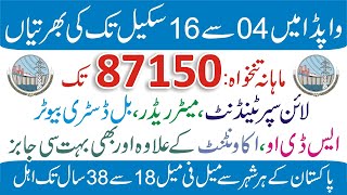 Wapda Jobs 2023 Online Apply  How to Apply for Wapda Jobs 2023  Latest Wapda Job Advertisement [upl. by Eemla]