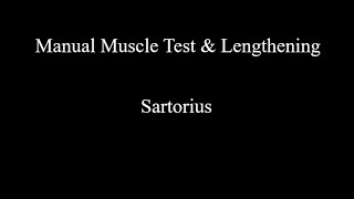 Manual Muscle Test amp Lengthening  Sartorius [upl. by Briny]