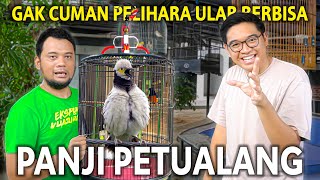 PANJI PETUALANG PUNYA BURUNG LANGKA SEGACOR INI TERNYATA SUKA BANGET BURUNG KICAU [upl. by Mazurek557]