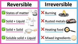 Reversible vs irreversible changes 🤔  Whats the difference  Learn with examples [upl. by Duile624]