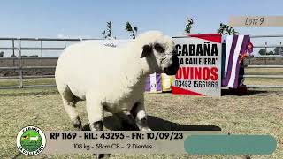 LOTE 9 RP 1175 LA CALLEJERA [upl. by Swanhilda953]