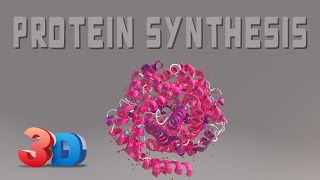 Protein Synthesis 101 3D Animation [upl. by Berlinda]