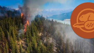 Fire in Jasper National Park [upl. by Graeme]