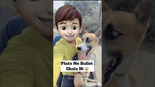 Pluto Ne Bike Chala Di 😱  doglover minivlog [upl. by Blankenship]