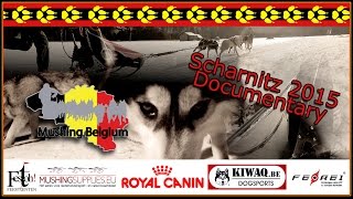 Mushing Belgium  World Championship WSA Scharnitz 2015 [upl. by Jasmin]