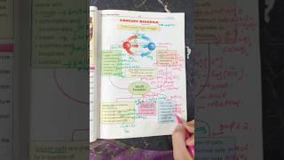 Acidsbases and Salts Formation and types Chemistry Class 10 [upl. by Trager]