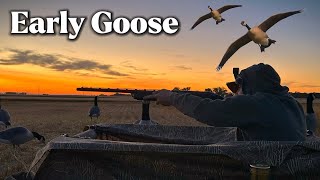 Early Goose To Start The Hunting Season [upl. by Irrehc947]