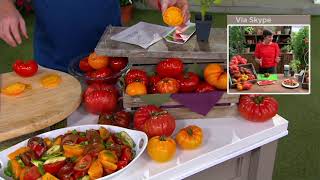 Cottage Farms 3Piece Beefsteak Tomatoes Live Plants on QVC [upl. by Davita529]