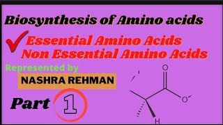 Biosynthesis of amino acid UrduHindi by Nashra Rehman Part1 [upl. by Pyne897]