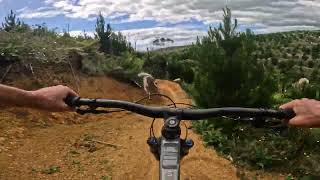 Footrot Flats  Fourforty MTB Park [upl. by Novyar635]