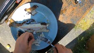 How to Fry A Trout On Melbourne Cup Long Weekend in Noojee [upl. by Candie962]