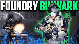 The Division 2  FOUNDRY BULWARK IS META  THE LADY DEATH WITH THIS BUILD IS CRAZY [upl. by Cardie]