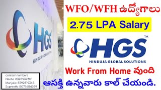 ఆసక్తి ఉన్నవారు కాల్ చేయండి HGS Company Latest Jobs Telugu  Hinduja Global Solutions Hiring [upl. by Adeline292]