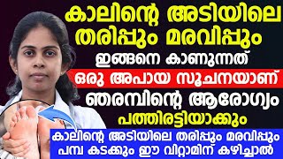 കാലിന്റെ അടിയിൽ വരുന്ന തരിപ്പും മരവിപ്പും എങ്ങനെ മാറ്റിയെടുക്കാം [upl. by Anirbas]