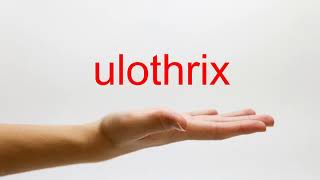 How to Pronounce ulothrix  American English [upl. by Wilen]