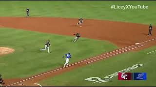 Gigantes del Cibao Vs Tigres del Licey  RESUMEN [upl. by Aerdnad194]