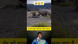 शेर को मालूम नहीं गैंडा उसका बाप हैं 🤔✅ shorts lion rhinoceros animal animalshorts [upl. by Anuaek]