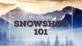 Snowshoe 101 Frequently Asked Questions About Snowshoeing [upl. by Iila]