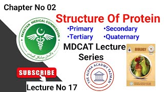 Structure Of Protein Biochemistry Class 11 MDCAT By Sir20  Biological Molecules  Lecture No 17 [upl. by Reiniar541]