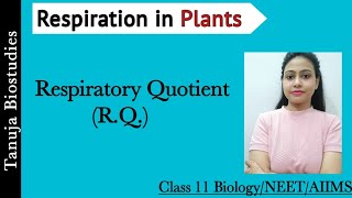 Respiration in Plants  Respiratory Quotient  Amphibolic pathway  Class 11 BiologyNEETAIIMS [upl. by Masera]