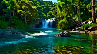 Bird amp water singing calm the heart Instant Relief Water Whistle relaxing water ASMR River [upl. by Nnainot355]