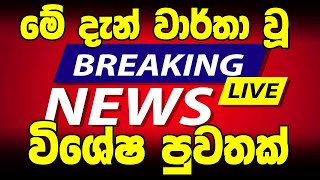 News Alert Special Here is special news  hiru hot news  hiru tv breaking news  News 1st today B [upl. by Darrill]