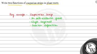 Write two functions of casparian strips in plant roots W [upl. by Obara]