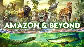 Zoo Tours Zoo Miamis Amazon amp Beyond  FULL TOUR [upl. by Gabriele]